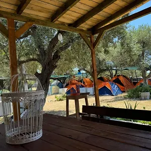 Camping Camping Olive Trees, Qeparo