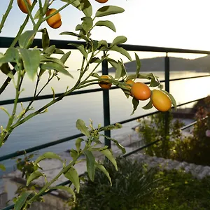 Guest house Panorma, Qeparo